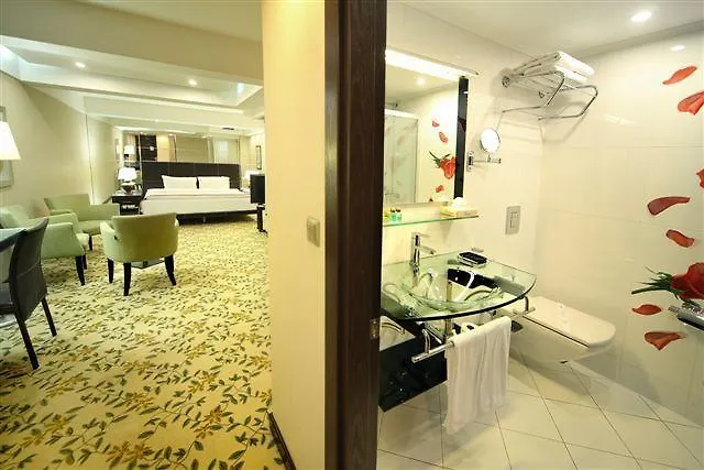 Cartoon Hotel Estambul Turquía